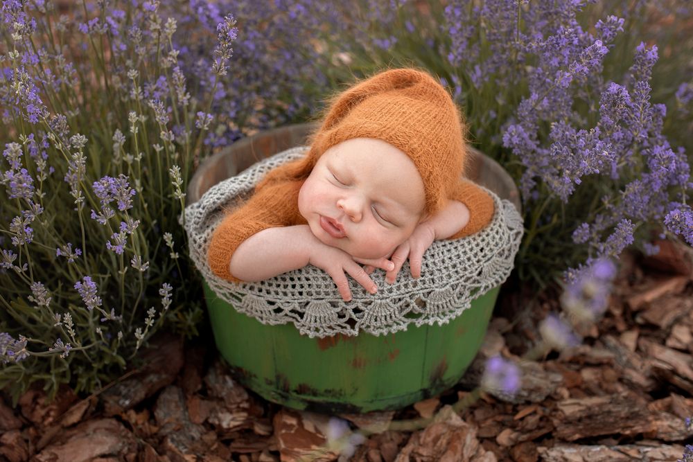 Photograph by Наталья Шевченко