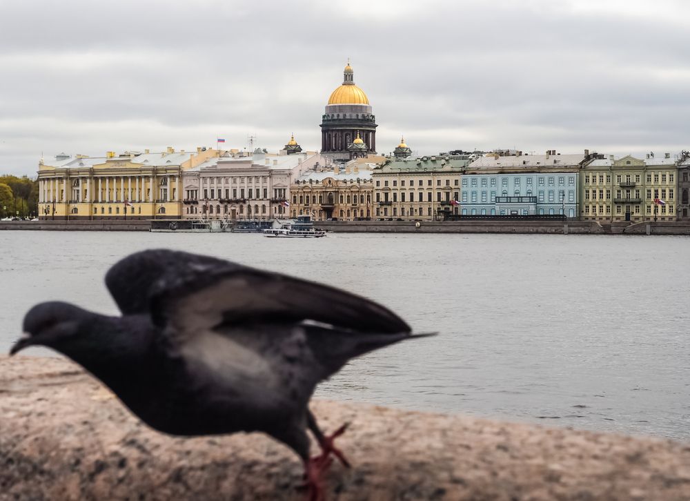 Photograph by Сергей Гаврилов