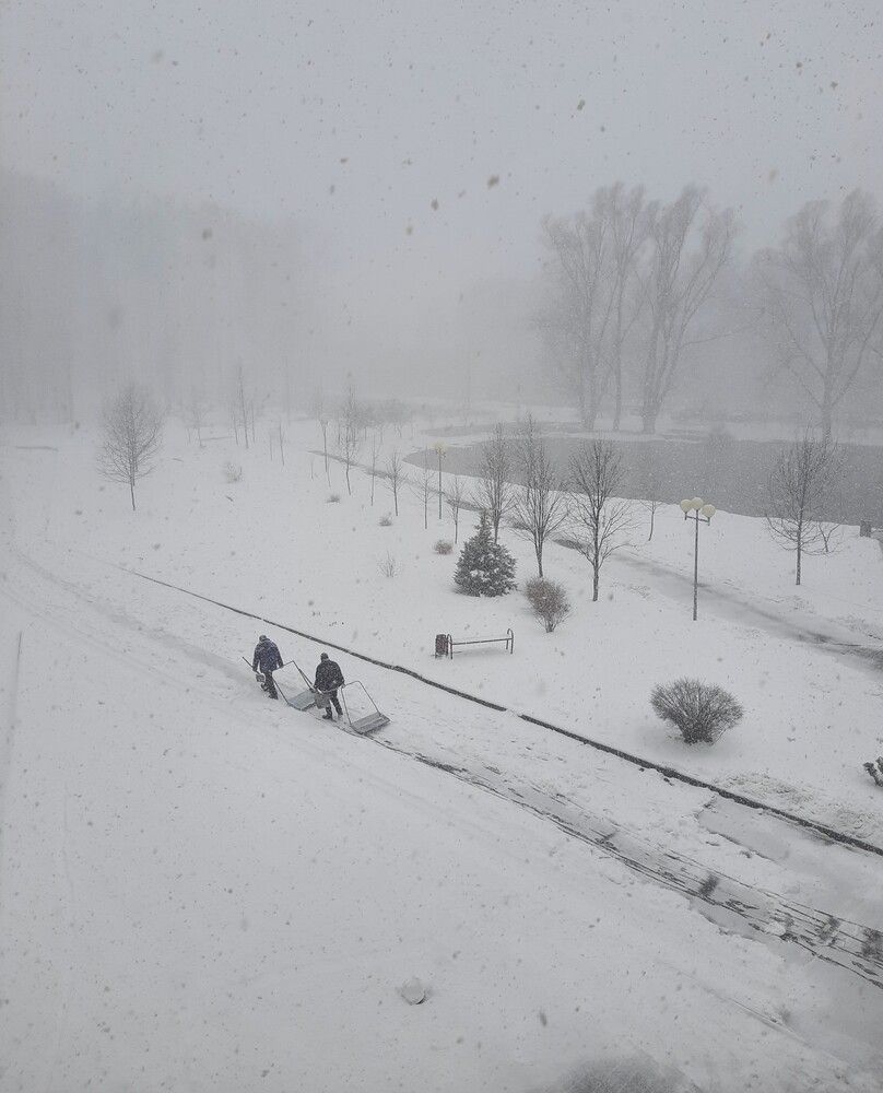 Фотография автора Елена Пикатова