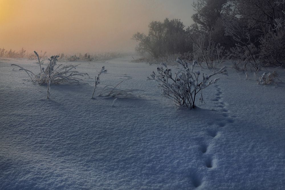 Photograph by Олег Тетерин