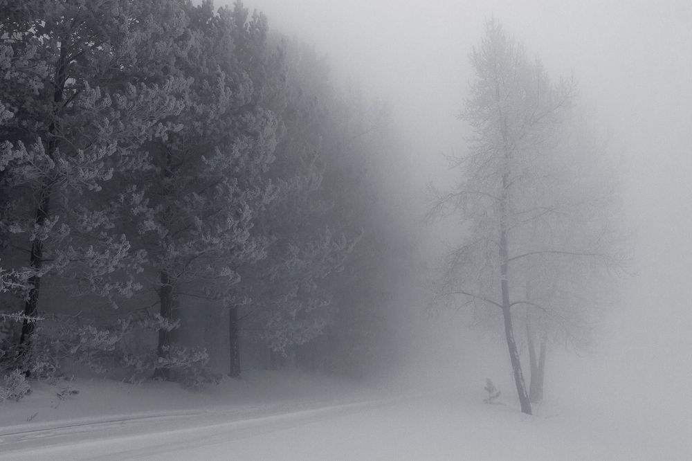 Photograph by Олег Тетерин