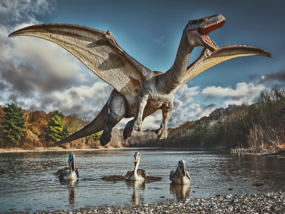 Photograph by Наталья Арбатская