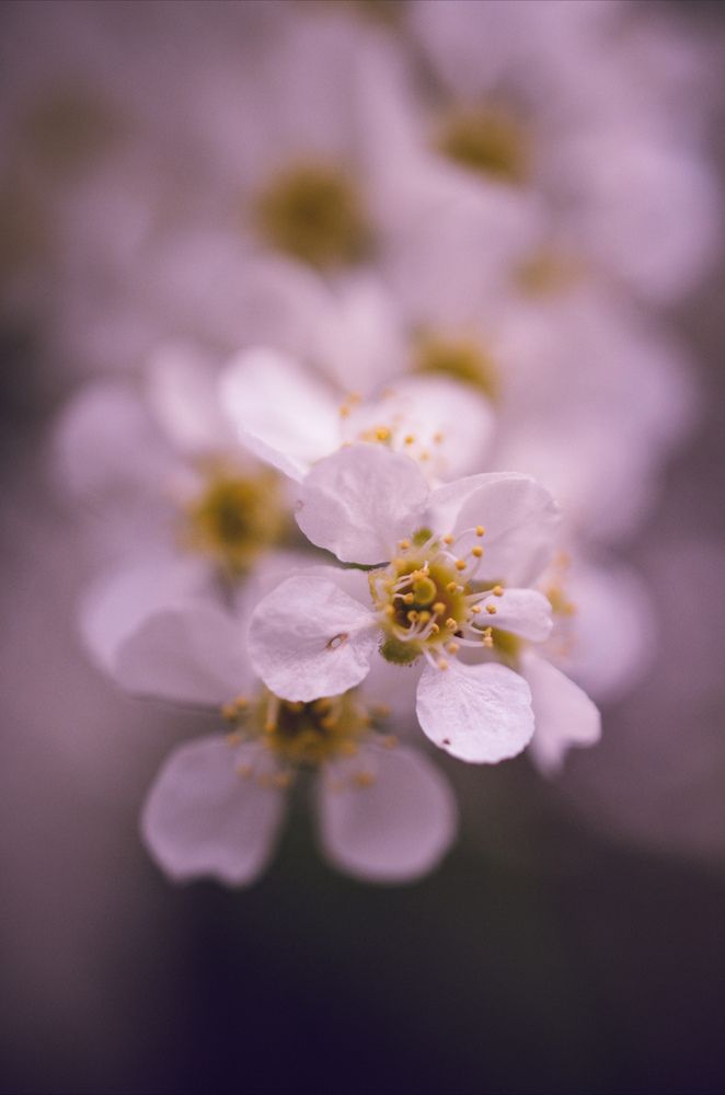 Photograph by Елена Плешкова