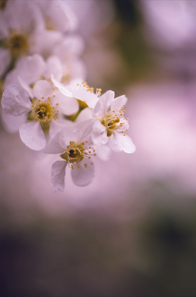 Photograph by Елена Плешкова