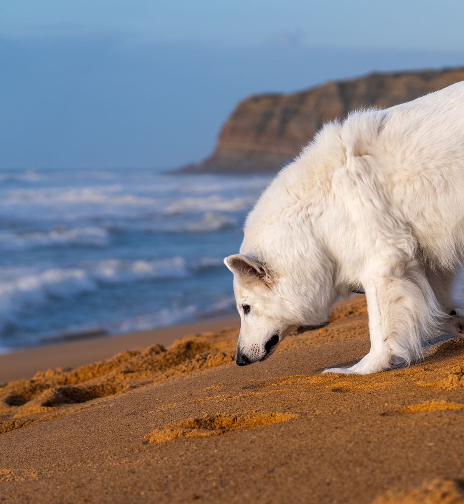 Фотография автора Сергей Леконцев