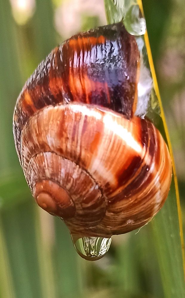 Photograph by Ольга Тихонова