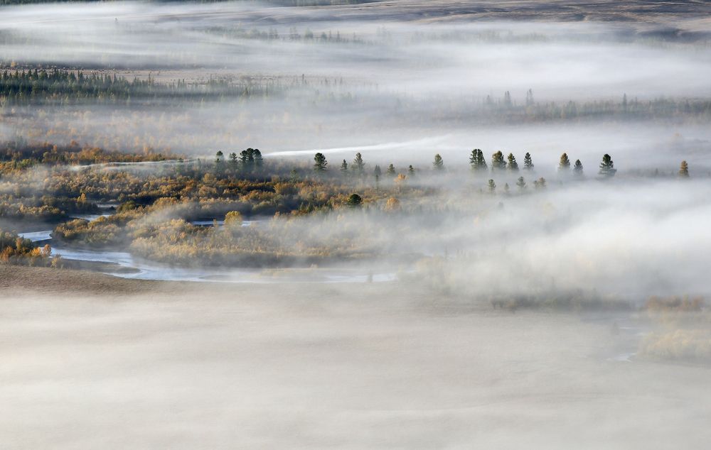 Фотография автора Галина Хвостенко
