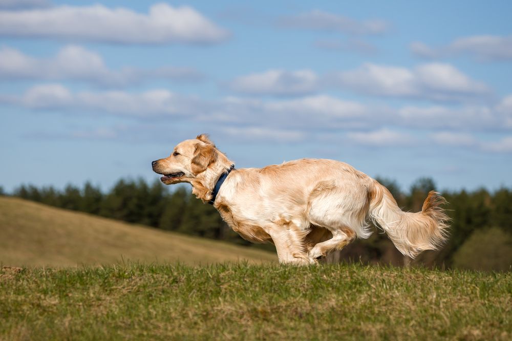 Photograph by IrenRRR