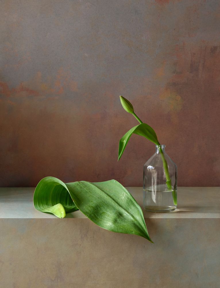 Photograph by Елена Виноградова