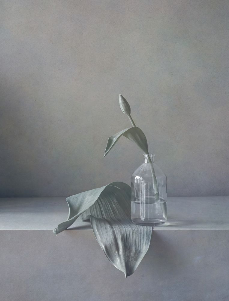 Photograph by Елена Виноградова