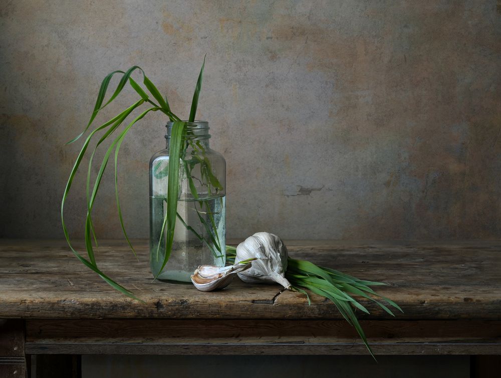 Photograph by Елена Виноградова