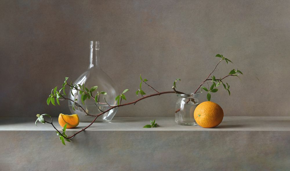 Photograph by Елена Виноградова