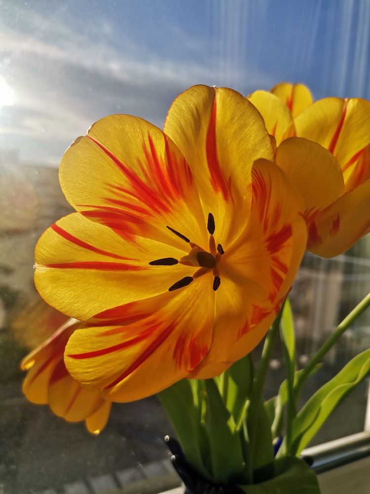 Photograph by Ирина Садовникова