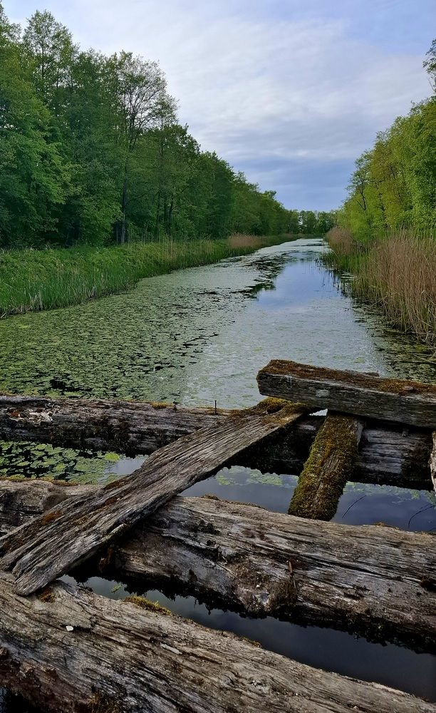 Photograph by Владимир Кублицкий