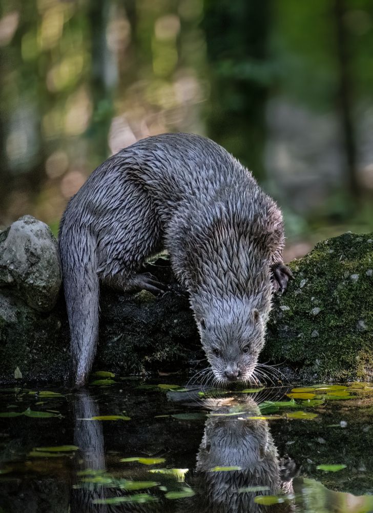 Photograph by Simone Iaria