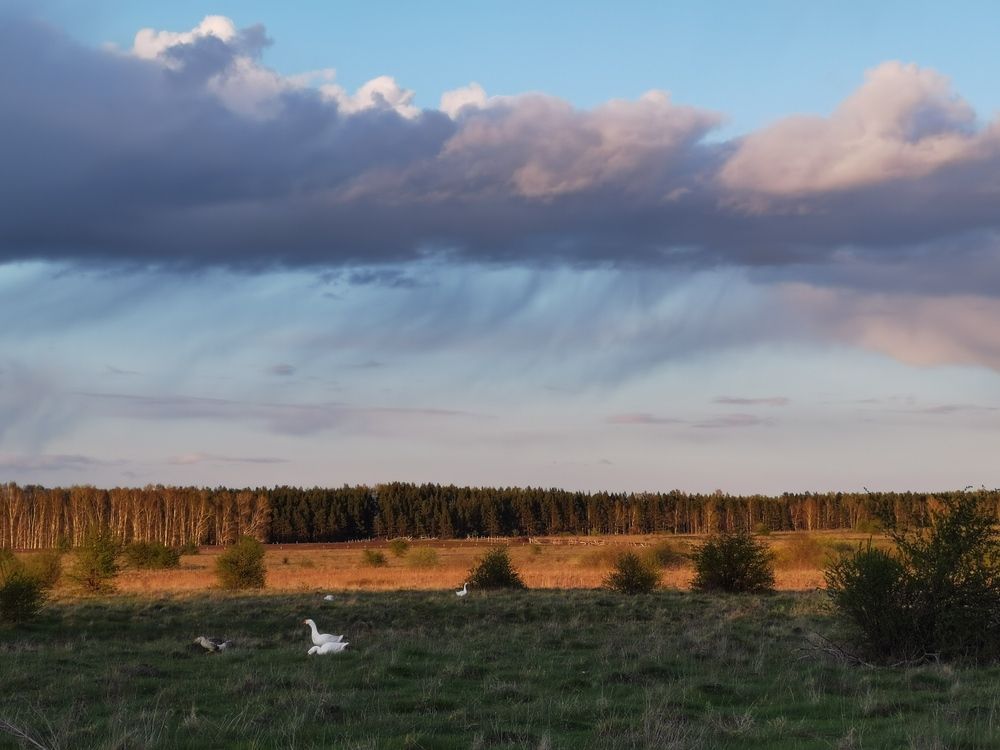Photograph by Филоненко Николай
