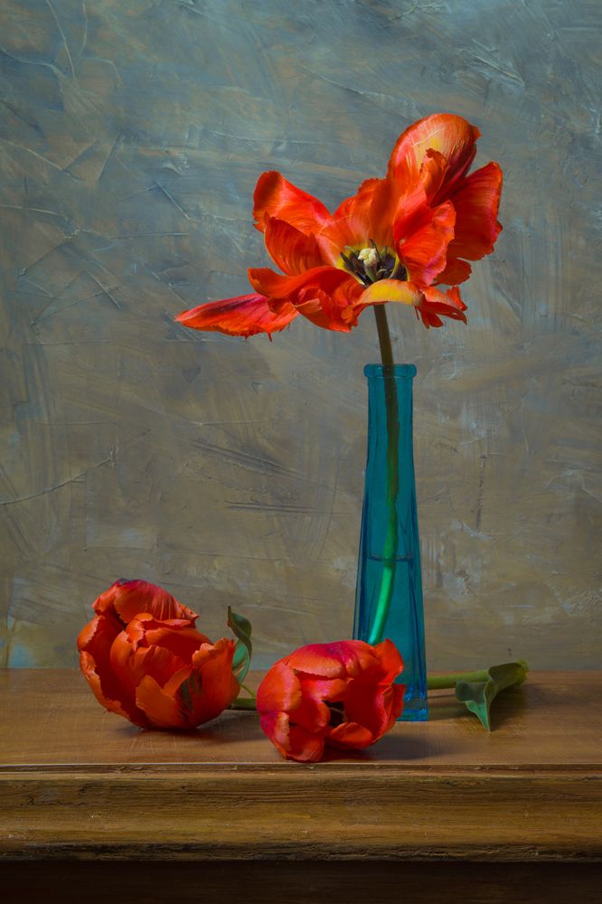 Photograph by Сергей Алексеев