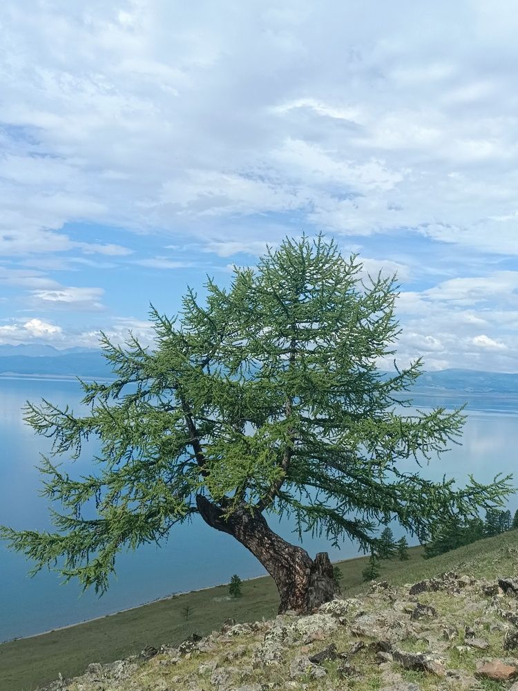 Photograph by Дмитрий Жарников