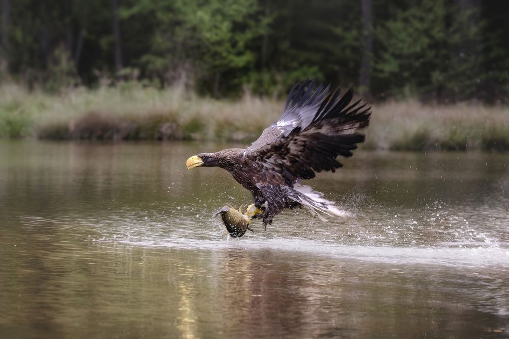 Photograph by Michaela Firešová