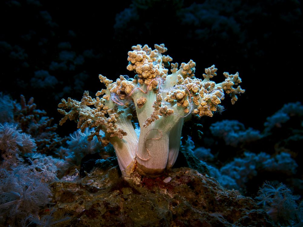 Photograph by Gozde Karayel