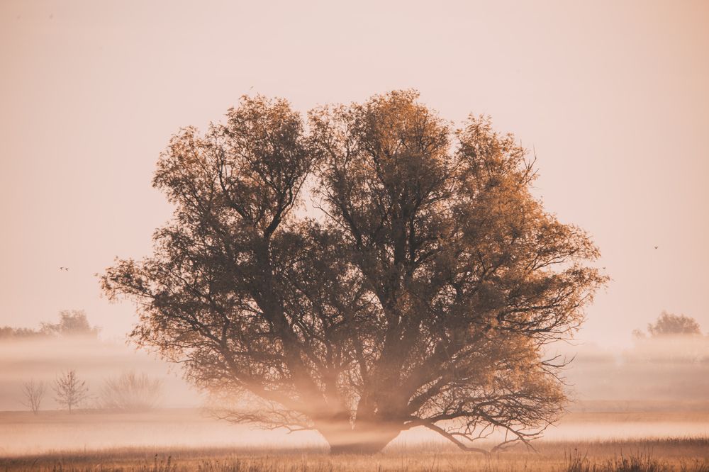 Photograph by Виктор Владимиров