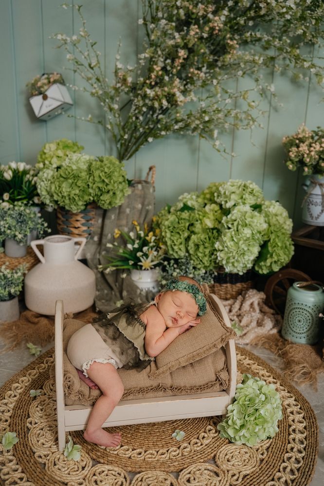 Фотография автора Светлана Сергеевна Абрамян