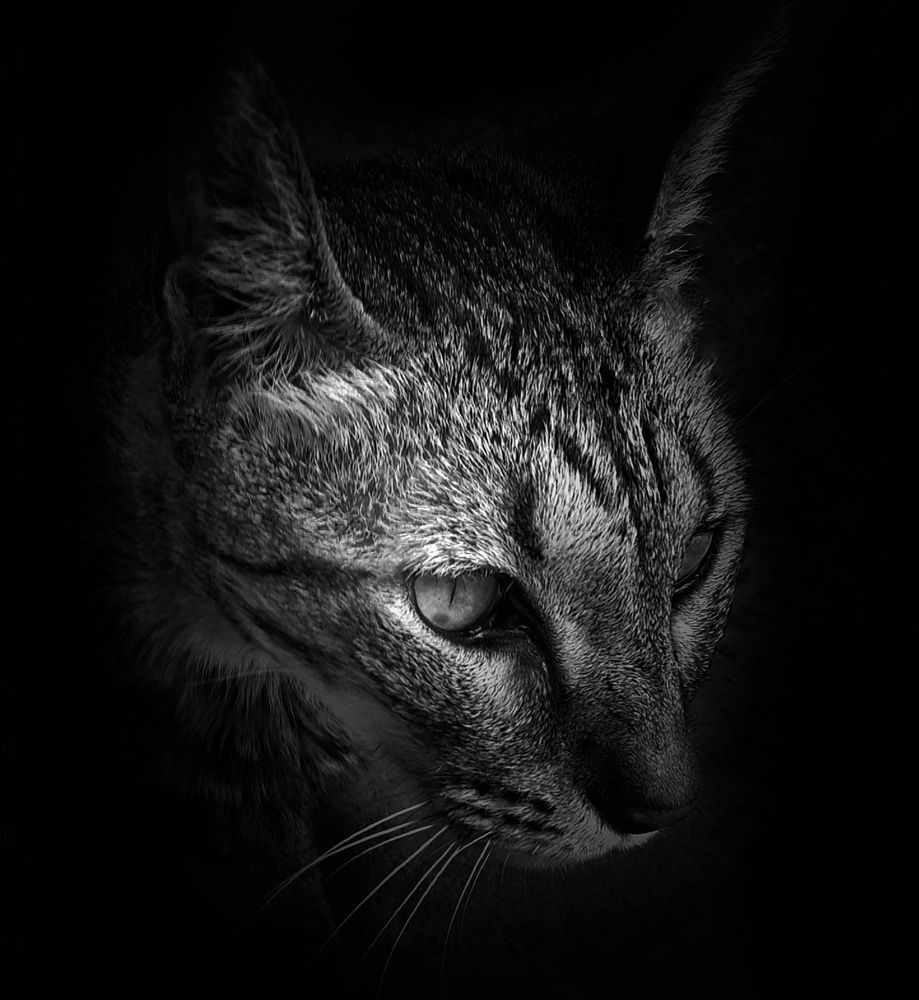 Photograph by Roberto Hagemann