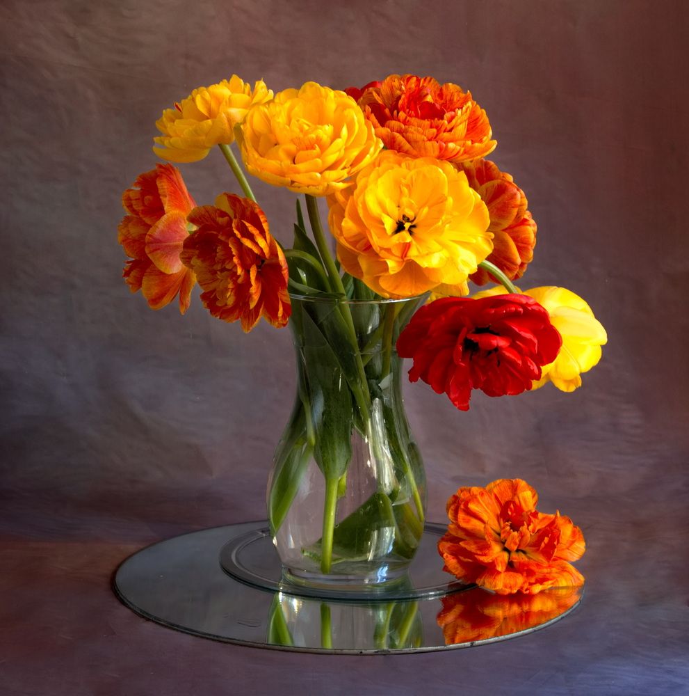 Photograph by Buntika Ilva