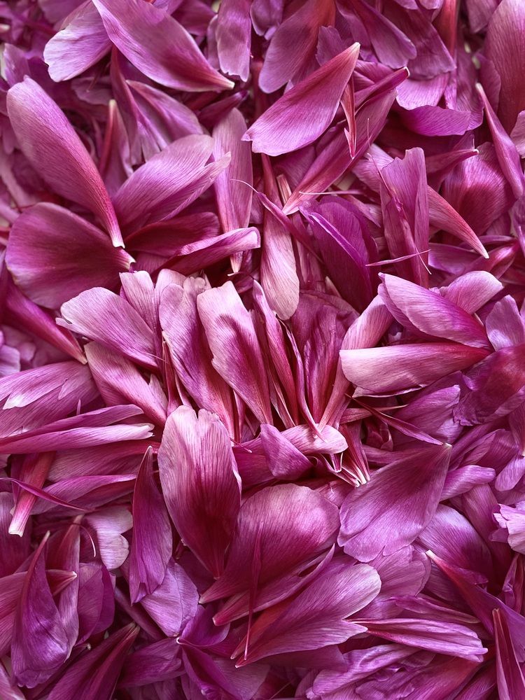 Фотография автора Nadezhda