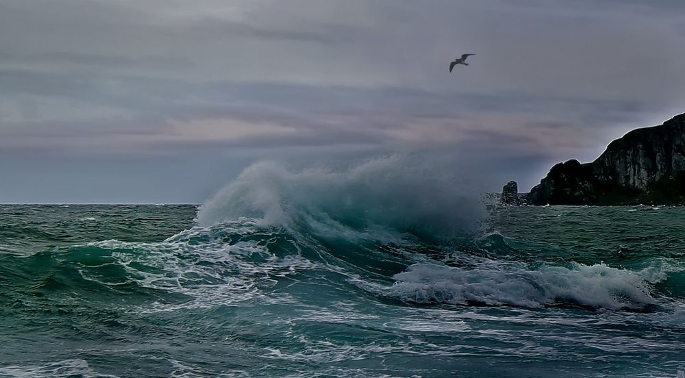 Photograph by Чекалов Валерий