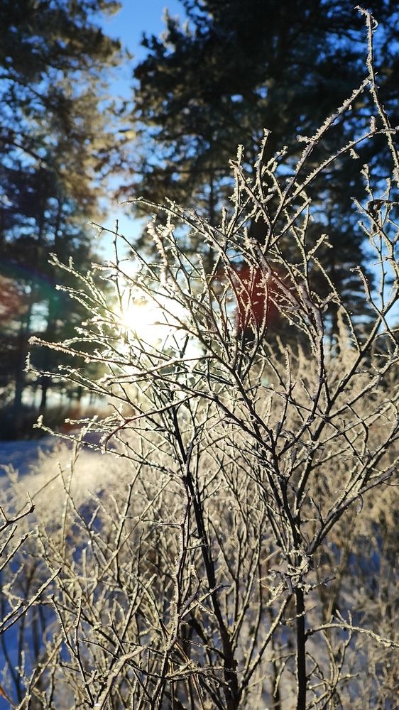 Photograph by Анна