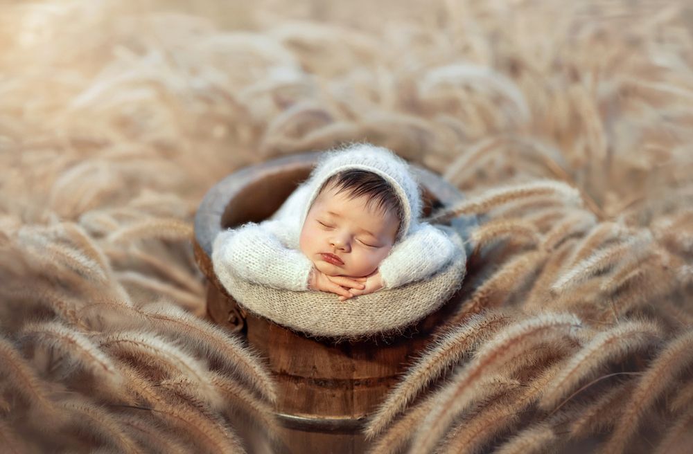 Photograph by Jane Sirkin