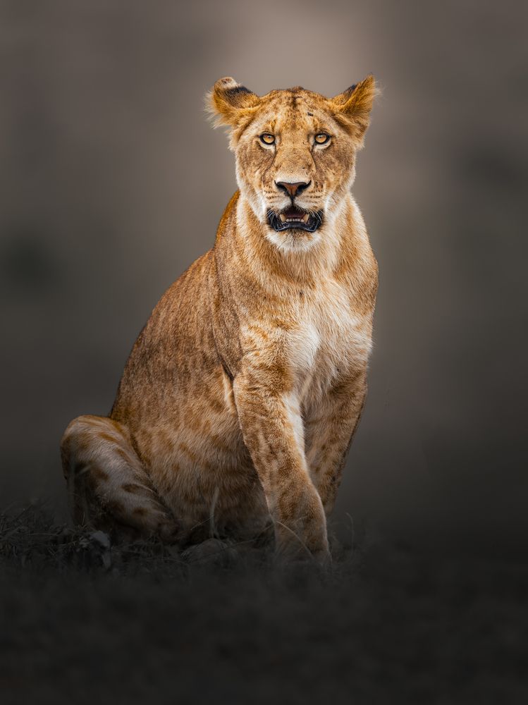 Фотография автора Ahmed Sobhi
