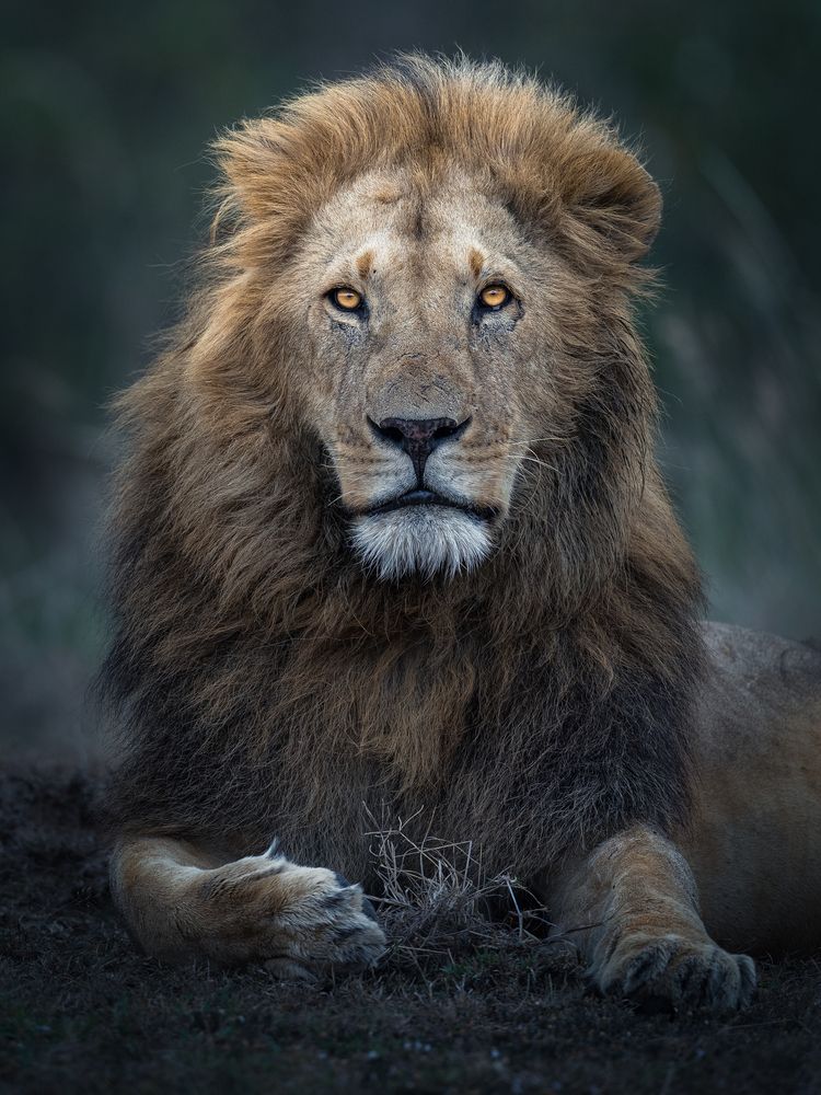Фотография автора Ahmed Sobhi