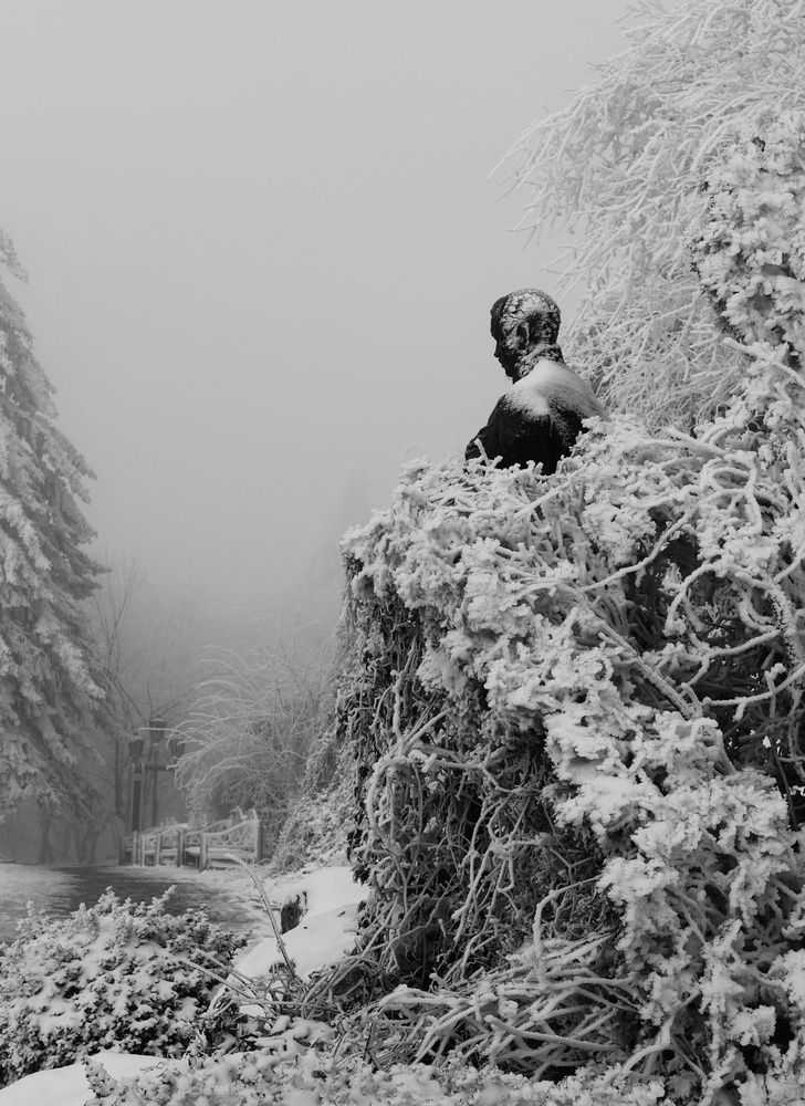 Photograph by Сергей Кошин