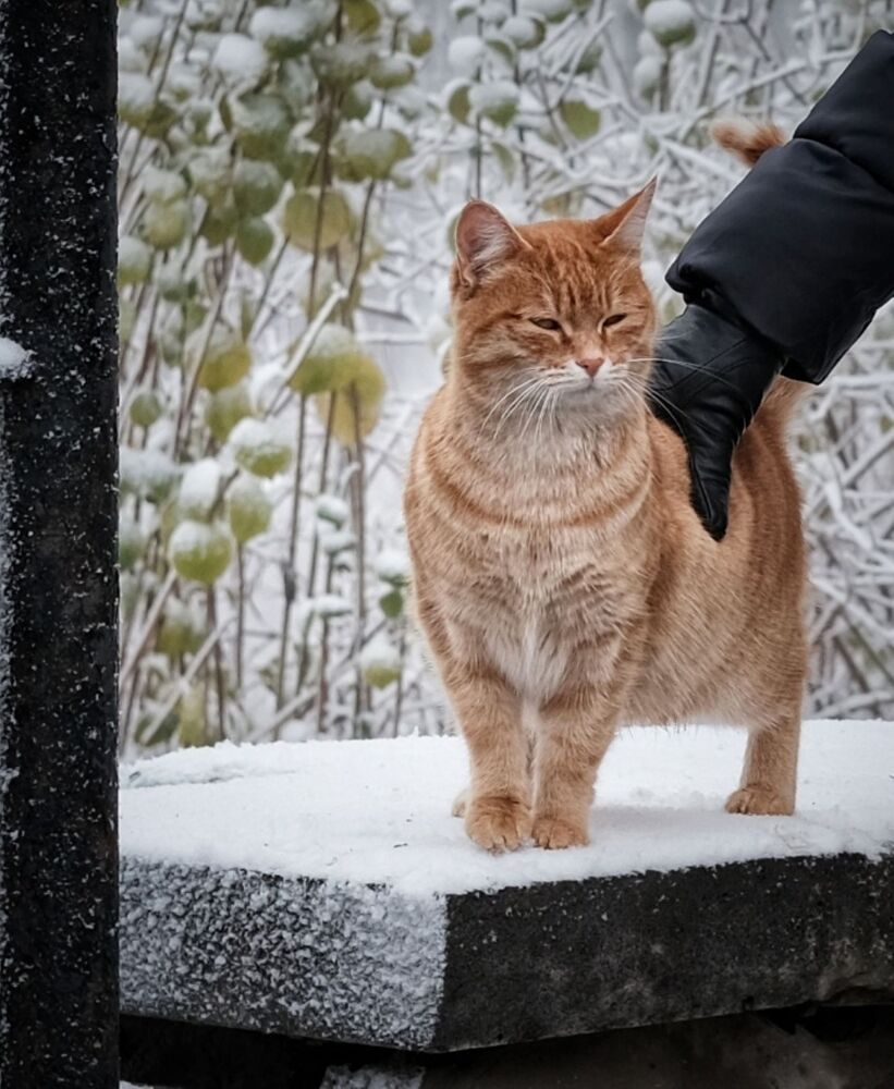 Photograph by Сергей Кошин