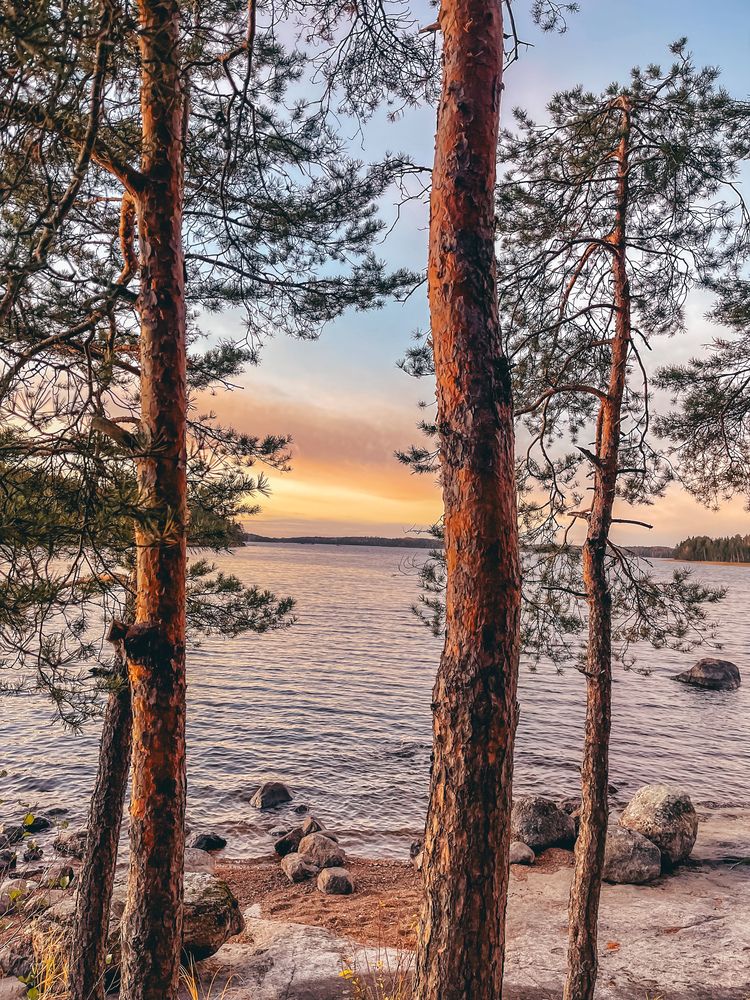 Photograph by Anastasia Fedulova