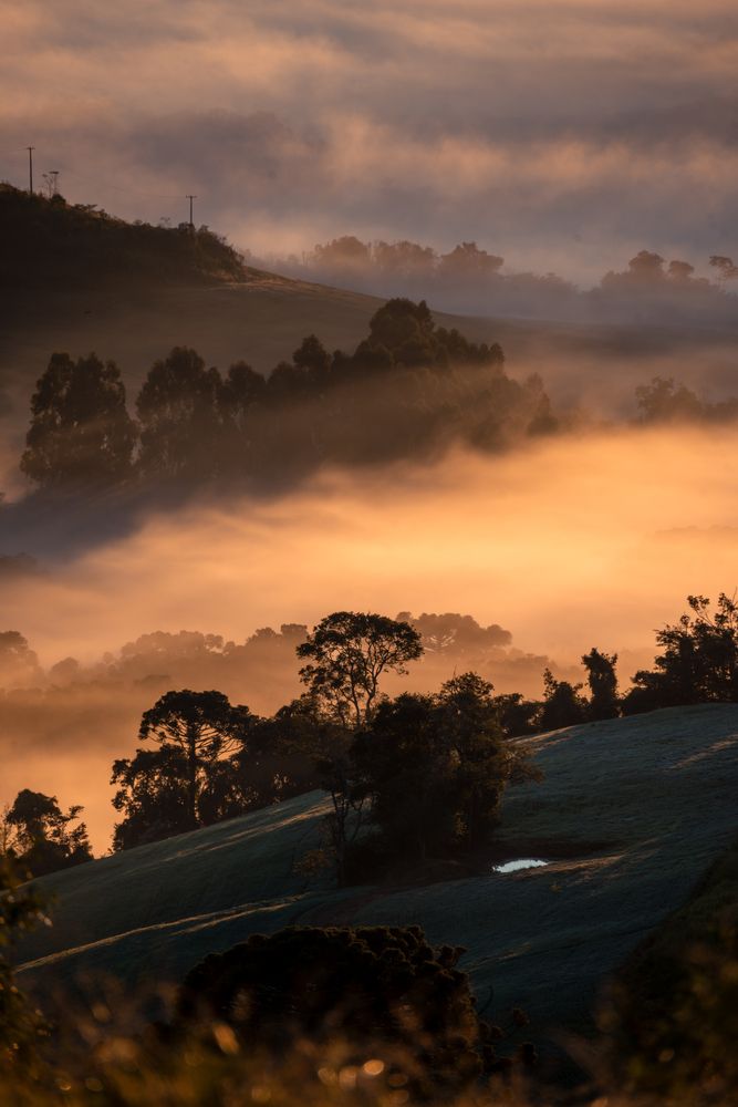 Photograph by Mateus Campos Felipe