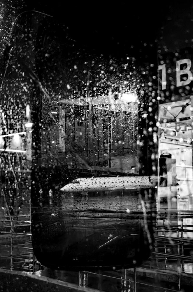 Фотография автора Татьяна Александровна Терехова