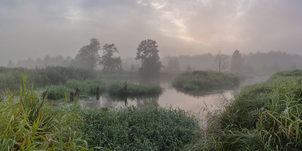 Photograph by Николай Кузьмин