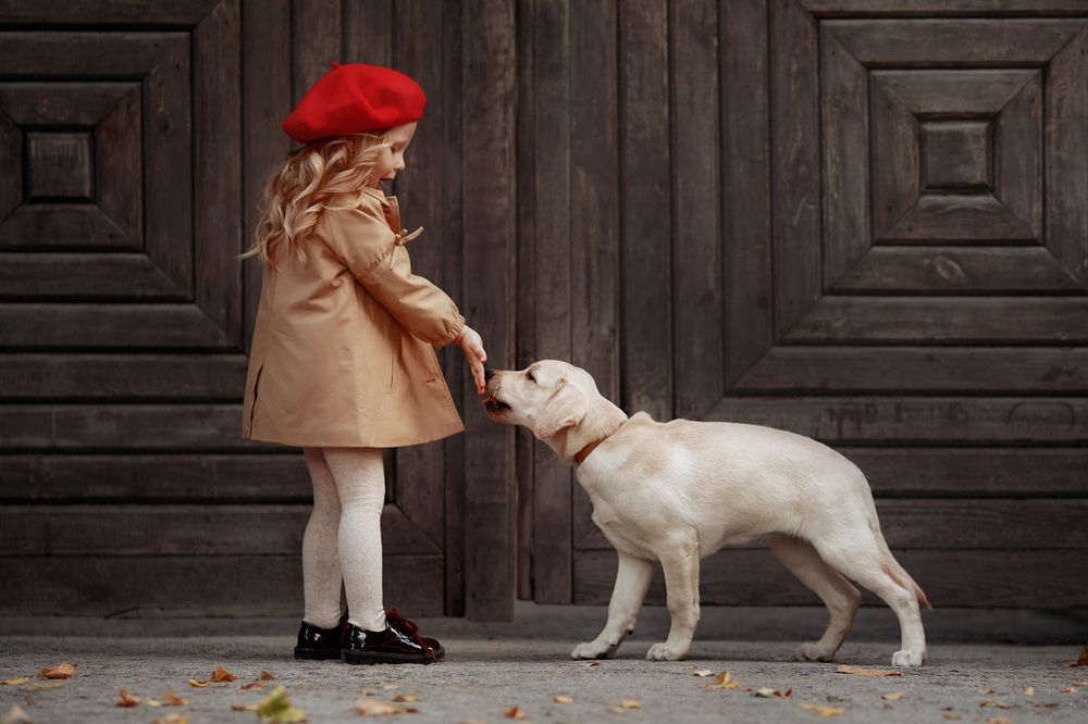 Photograph by Ольга Сорокина