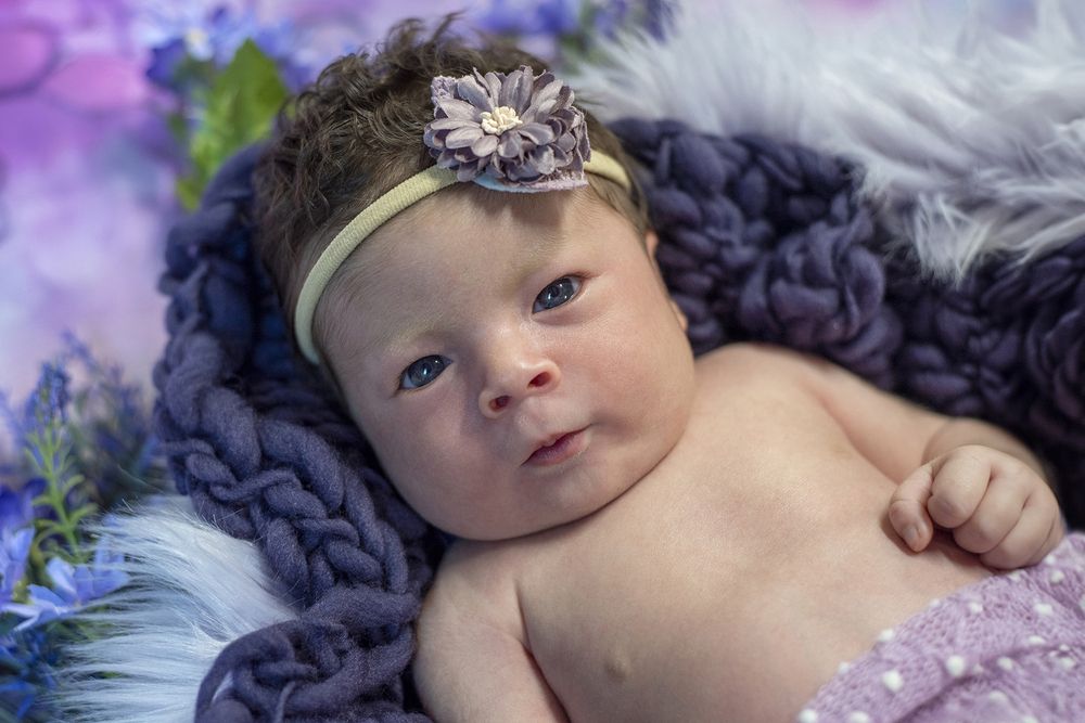 Photograph by Carla Rodrigues