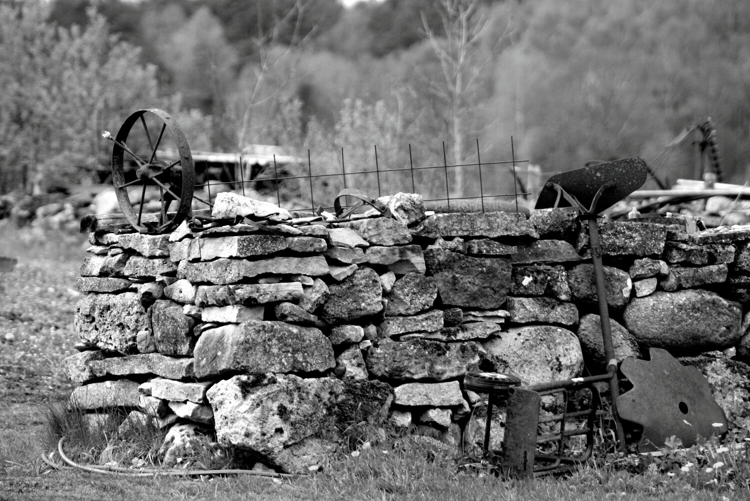 Photo #12196717