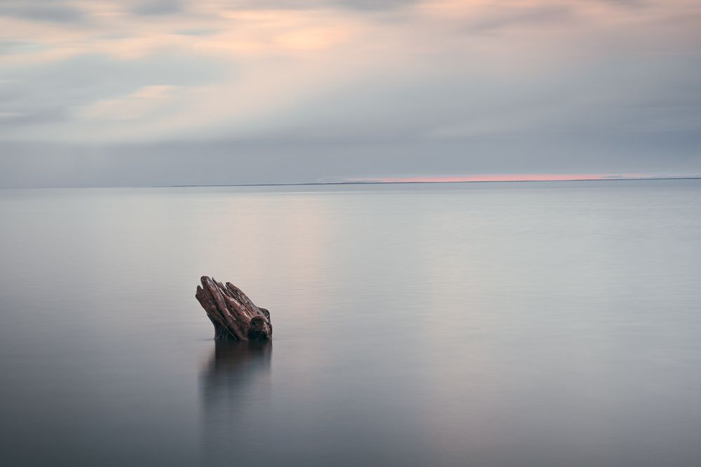Photograph by Игорь Лузин
