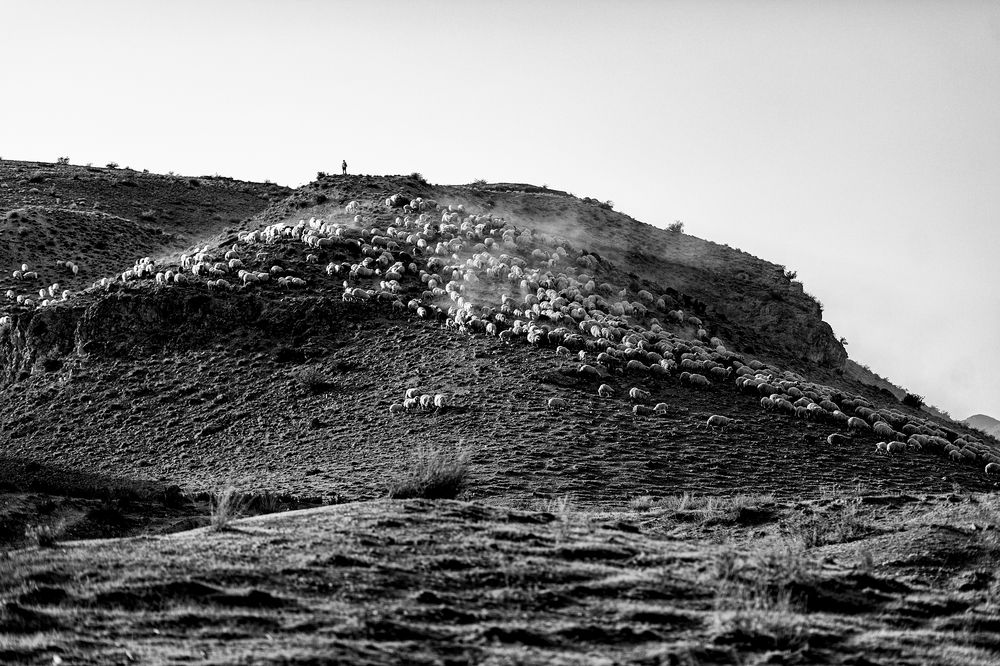 Photograph by Артак Арзуманян