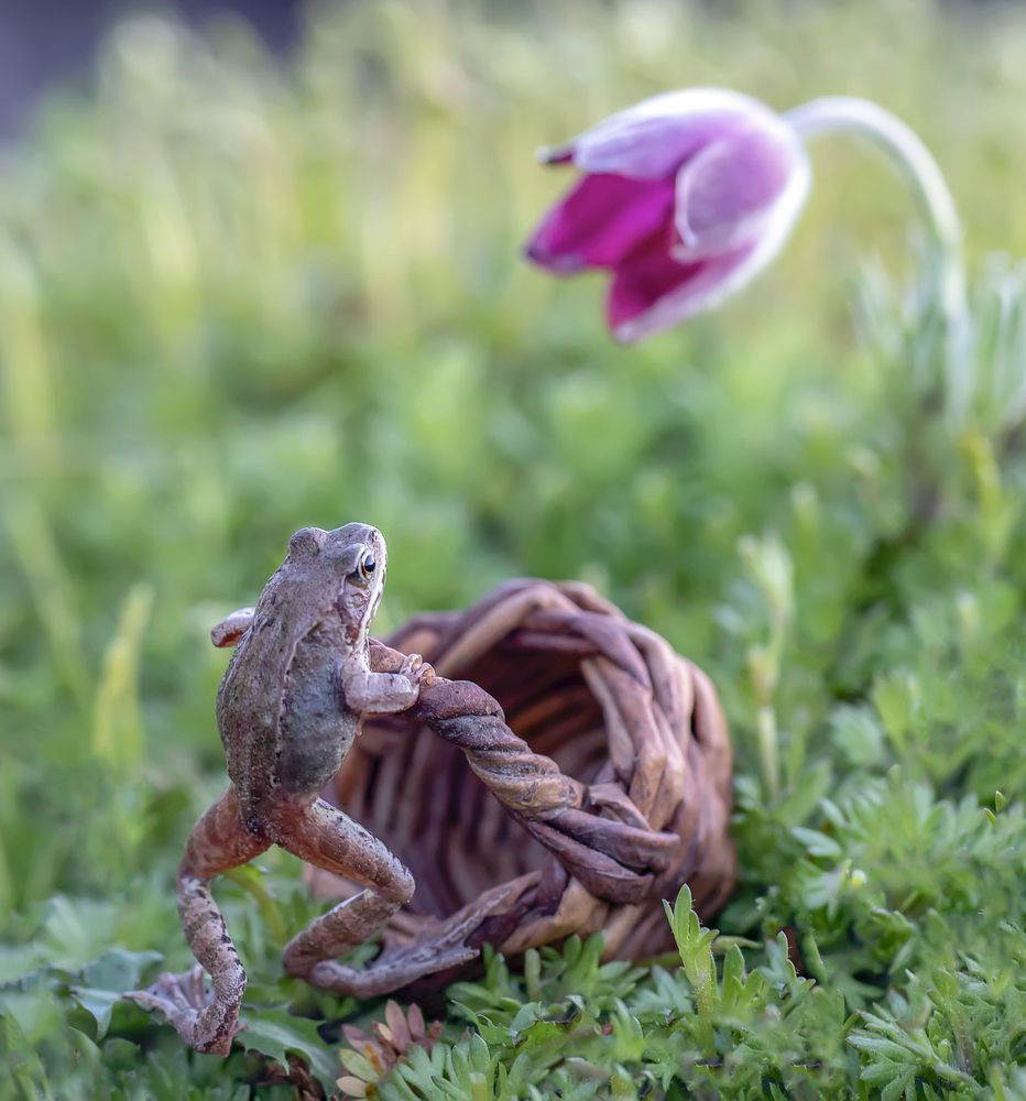 Photograph by Татьяна Феденкова