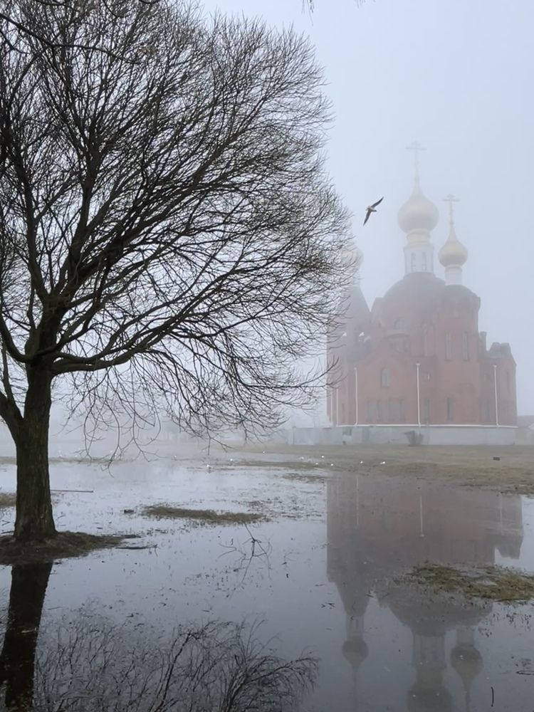 Туманное утро