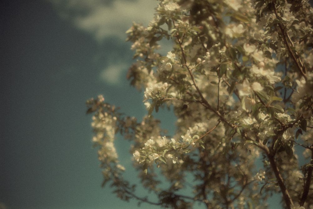 Photograph by Denis Naryshev