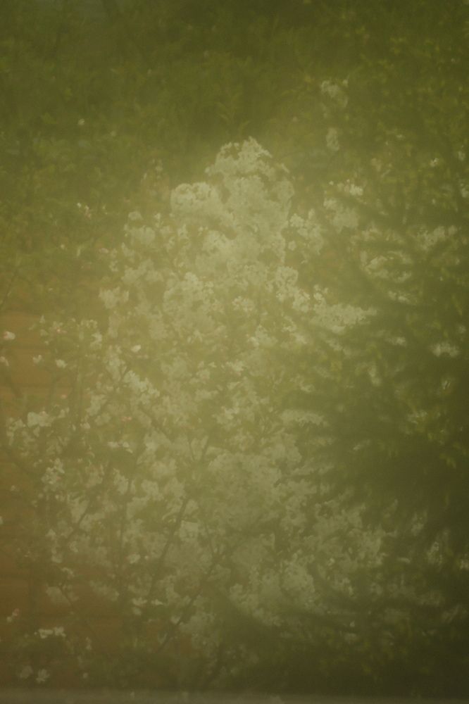 Photograph by Denis Naryshev