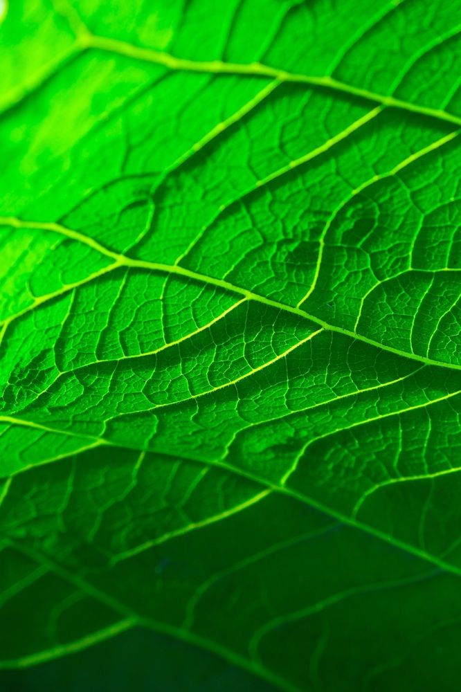 Photograph by Яна Истоцкая
